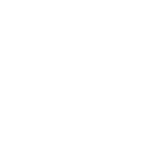 Customized CRM Solutions Icon